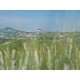 Search_OLD FARMHOUSE WITH SEA VIEW FOR SALE IN LE MARCHE Country house to restore with panoramic view in central Italy in Le Marche_29